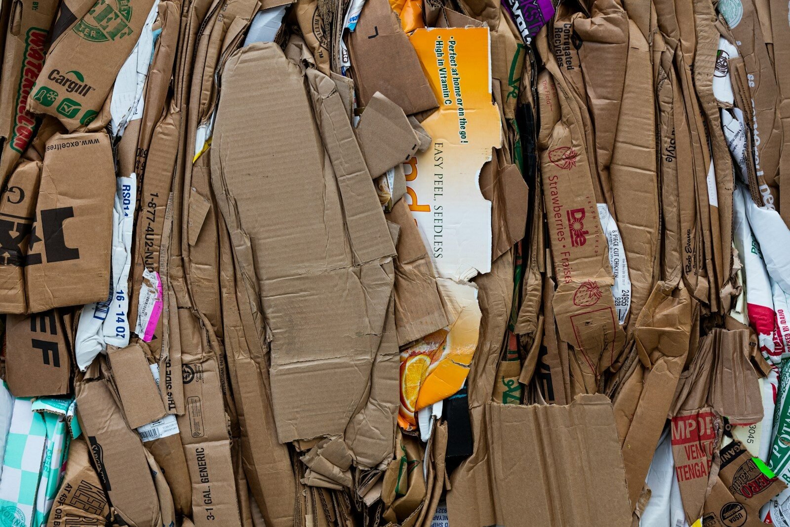 Kreislaufwirtschaft einfach erklärt: Warum „wegwerfen“ keine Kategorie mehr ist